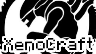 Xenocraft beta addon // test log 1 screenshot 2