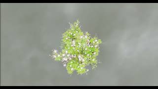 Día Mundial De La Tierra