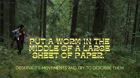 Locomotory Behavior Of Earthworm || Practical || Animal Behavior || Data copy link in description