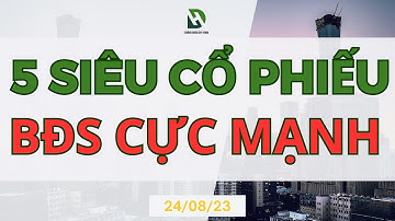 TOP 5 SIÊU CỔ PHIẾU BẤT ĐỘNG SẢN CỰC MẠNH | CEO L14 DIG DXG NVL PDR