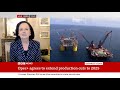 Cornelia Meyer BBC World News BBC World business Report re OPEC+ Decision (03/06/2024)