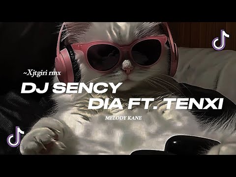 DJ SENCY - DIA FT. TENXI  ¦¦ (Xjtgiri BOOTLEG)