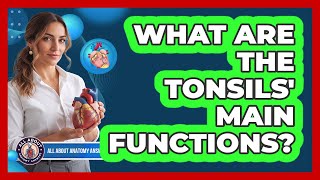 What Are The Tonsils' Main Functions?