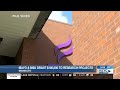 Mayo &amp; MSU grant $100,000 to research projects