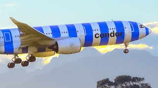 🇿🇦✈️20 Minutes INCREDIBLE Cape Town Plane Spotting | South Africa (CPT\/FACT)