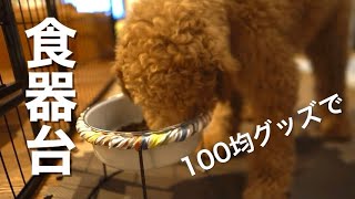 【100均】スタンダードプードルの食器台を作ってみた