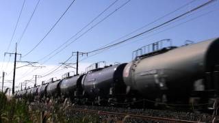 2010.11.2 8179レ EF65-1101牽引、臨時専用貨物。