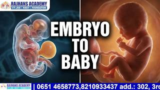 Human Reproduction: Embryo to Baby Development| Class 12 Biology Chapter 3 | NCERT Explained