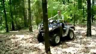 Quad vs. Tree