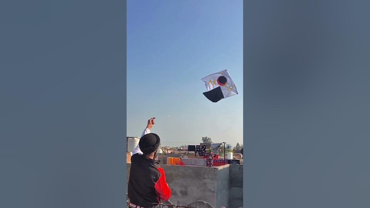 Kite Flying Punjabi Song Kites shortviral kitefestival kite-flying-punjabi-song-kites-shortviral-kitefestival