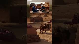 Rajasthan Ka Ancient Water Secret 😳 | Genius Indian Engineering