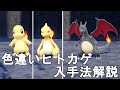 【ポケモンSV】色違いヒトカゲ（リザードン）入手法解説！Pocket Monster Skarlet Violet Shiny Charmander【スカーレットバイオレット】
