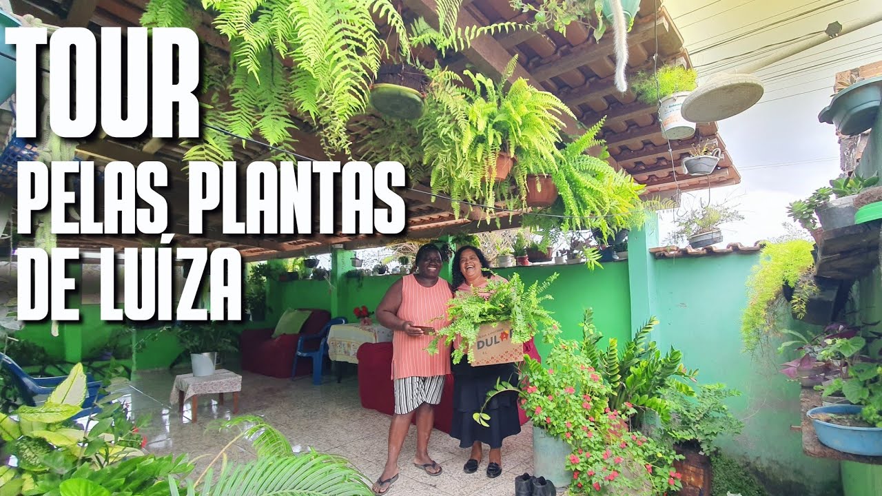 TOUR PELO QUINTAL DA LUÍZA: VARANDA CHEIA DE PLANTAS LINDAS E ORNAMENTAIS | SAMAMBAIA | FLOR-DE-MAIO