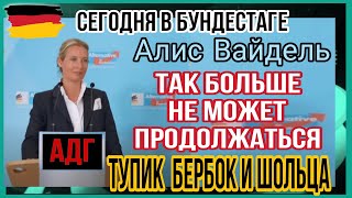 Конец коалиции власти. Алис Вайдель АДГ. Выступление в бундестаге. #германия #россия #новости