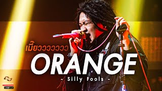 Video thumbnail of "ORANGE - Silly Fools | เมี๊ยววววววว | Songtopia Livehouse"
