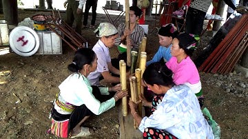 Điệu khua luống