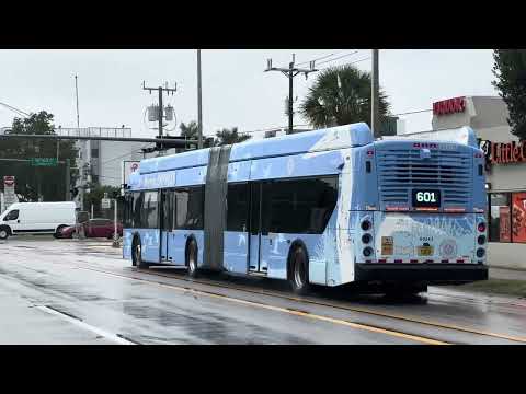 Miami Dade Transit Schedule