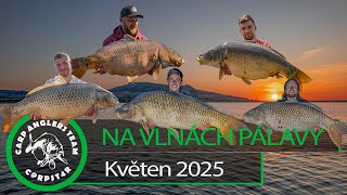 Download Lagu NA VLNÁCH PÁLAVY 2 MP3 Download Lagu NA VLNÁCH PÁLAVY 2 MP3