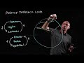 Feedback Loops and Climate Change: Understanding Biological and Environmental Interactions