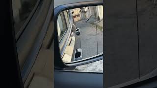Como Estacionar Bem Próximo ao Meio-Fio (Dica Simples e Eficiente)