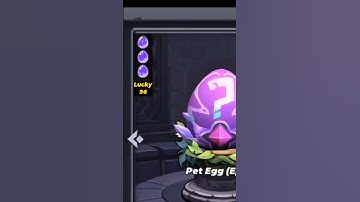 LUCKIEST Egg Opening in Skyblock! 😱 Got TIGER Pet! #BlockmanGo #Shorts