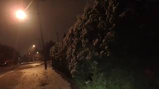 Aftermath of Unexpected Light Snowfall of 11/16/20 + Early AM Linear Showers of 11/18/20! - Part 2/2