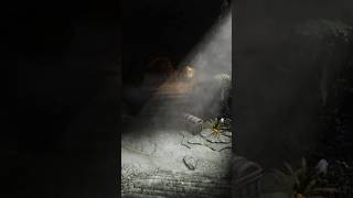 When you get fully immersed in Skyrim