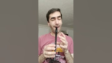 Concerning Hobbits - LoTR (tin whistle cover)