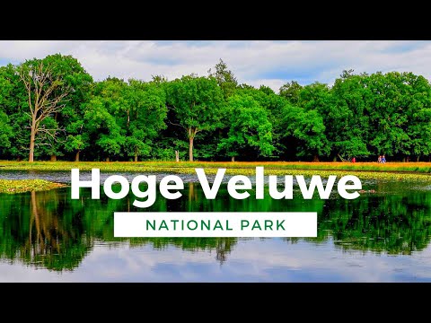 Hoge Veluwe National Park: Escape to nature in Gelderland, Netherlands