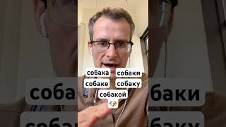 “DOG” USED IN ALL 6 RUSSIAN CASES 🇷🇺 #learnrussian #russiangrammar #easyrussian #russianlanguage