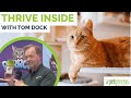 Leaning in to Your Cat's Natural Instinct | THRIVE INSIDE ft. Tom Dock | PurrCon 2025