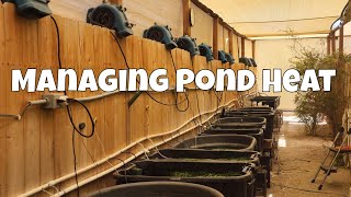 How To: Manage High Pond Temperatures!