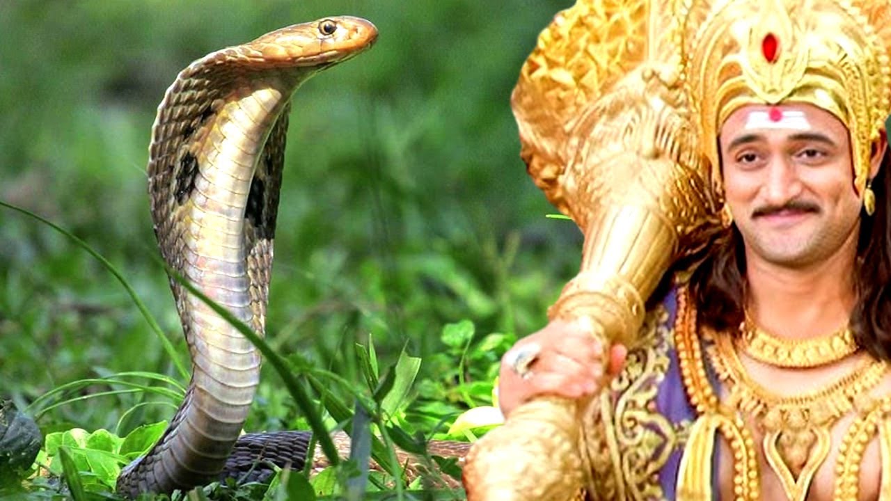 हे यमराज मुझे जीवनदान दे दो | Yamraj Comedy @minitv86