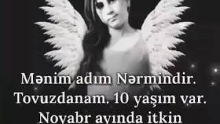 Nərminə həsr olunmuş şeir
