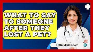 What To Say To Someone After They Lost A Pet? - PetGuide360.com