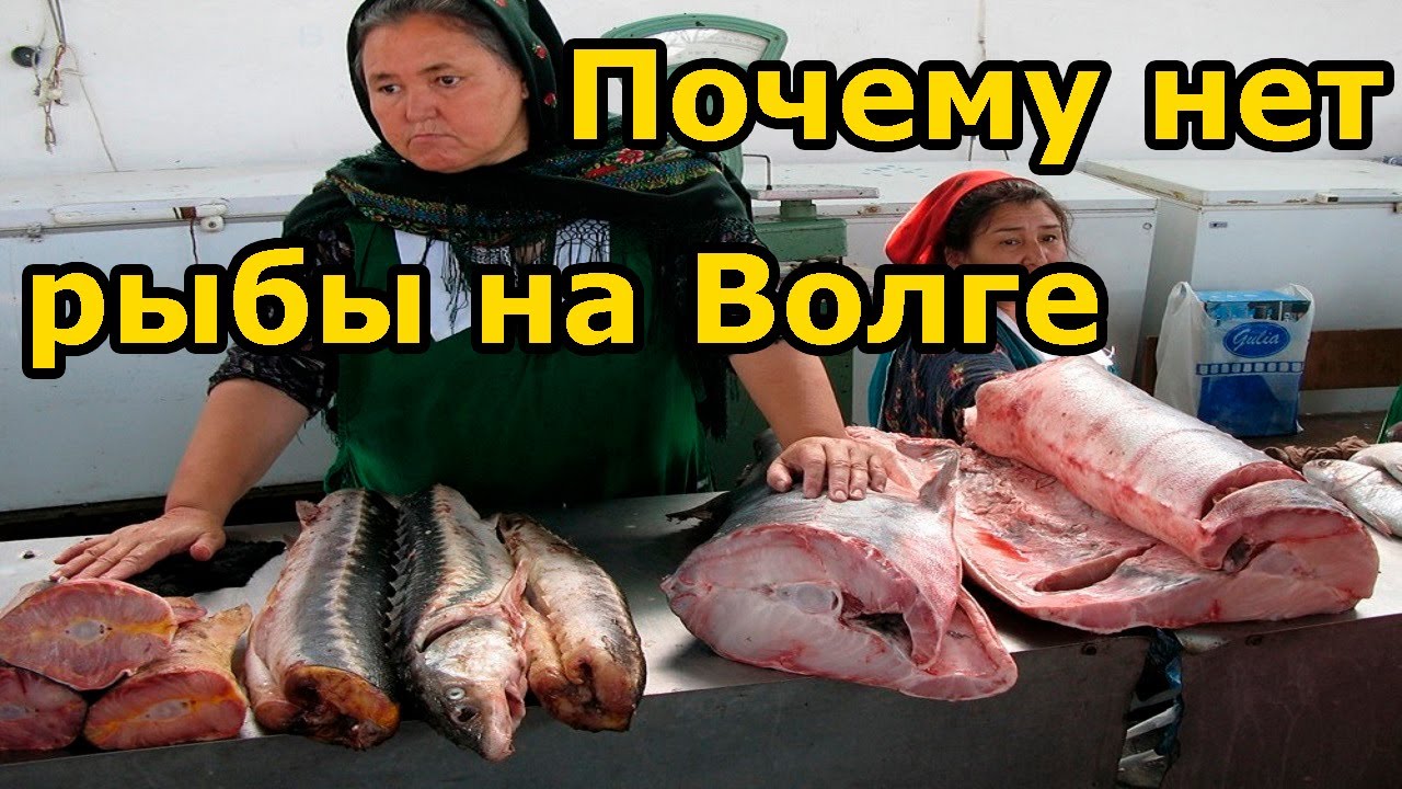 Браконьеры на волге