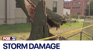 Trees on Northwestern's campus toppled during strong storms Tuesday