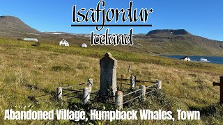 Isafjordur, Iceland | Abandoned Village, Humpback Whales & Town Walk