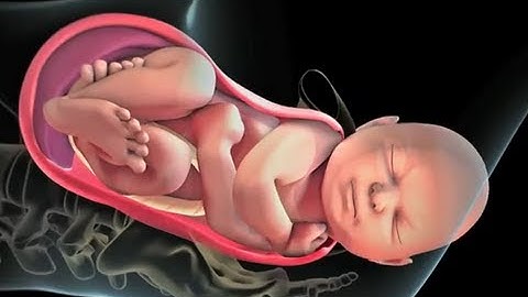 Patient Education Animation: Labor and Vaginal Birth