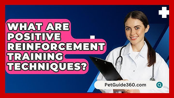 What Are Positive Reinforcement Training Techniques? - PetGuide360.com
