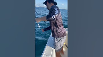 How To Catch a MONSTER Mutton Snapper