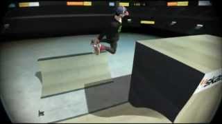 Skate 3 Twixtor Test