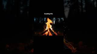 Campfire Sounds for Sleep 🔥 | Crackling Fire ASMR | #528hz #forestsounds #healingmusic