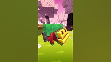 Cherry Blossom Sniffer