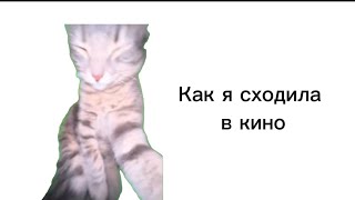 Как я сходила в кино| Мемные коты