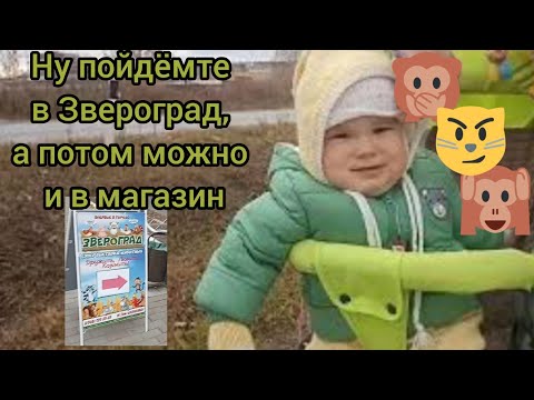 Что такое "Звероград"? Стоит ли туда сходить? Магазин "Светофор" город Нижняя Тура. Что интересного?