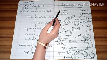 Volvox (occurrence, general structure and Reproduction)by The Pool of Science