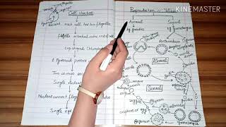 Volvox (Occurrence, General Structure And Reproduction)By The Pool Of Science