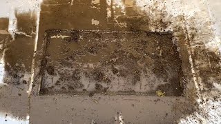 Turning a VERY dirty carpet into a miracle| Carpet Cleaning | ASMR | Rug Cleaning