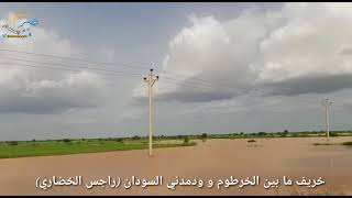 خريف ما بين الخرطوم و ودمدني السودان (راجس الخضاري)